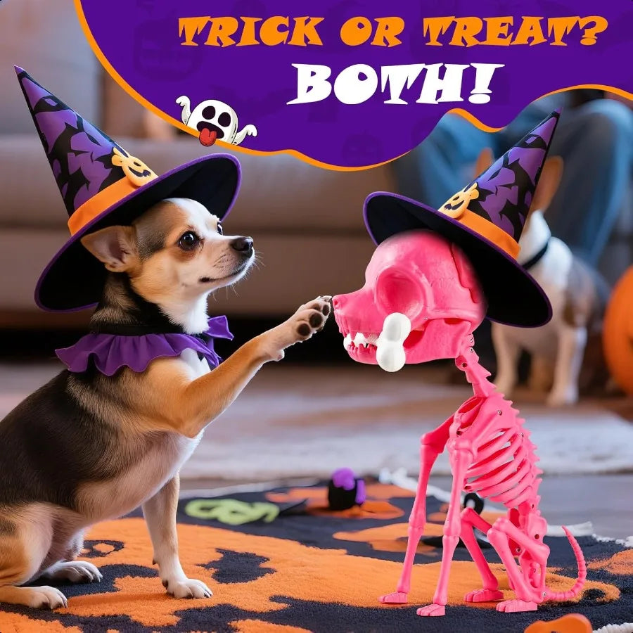 Halloween Indoor/Outdoor Skeleton Dog Decoration