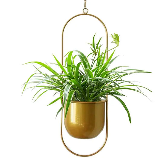 Indoor hanging pot planters