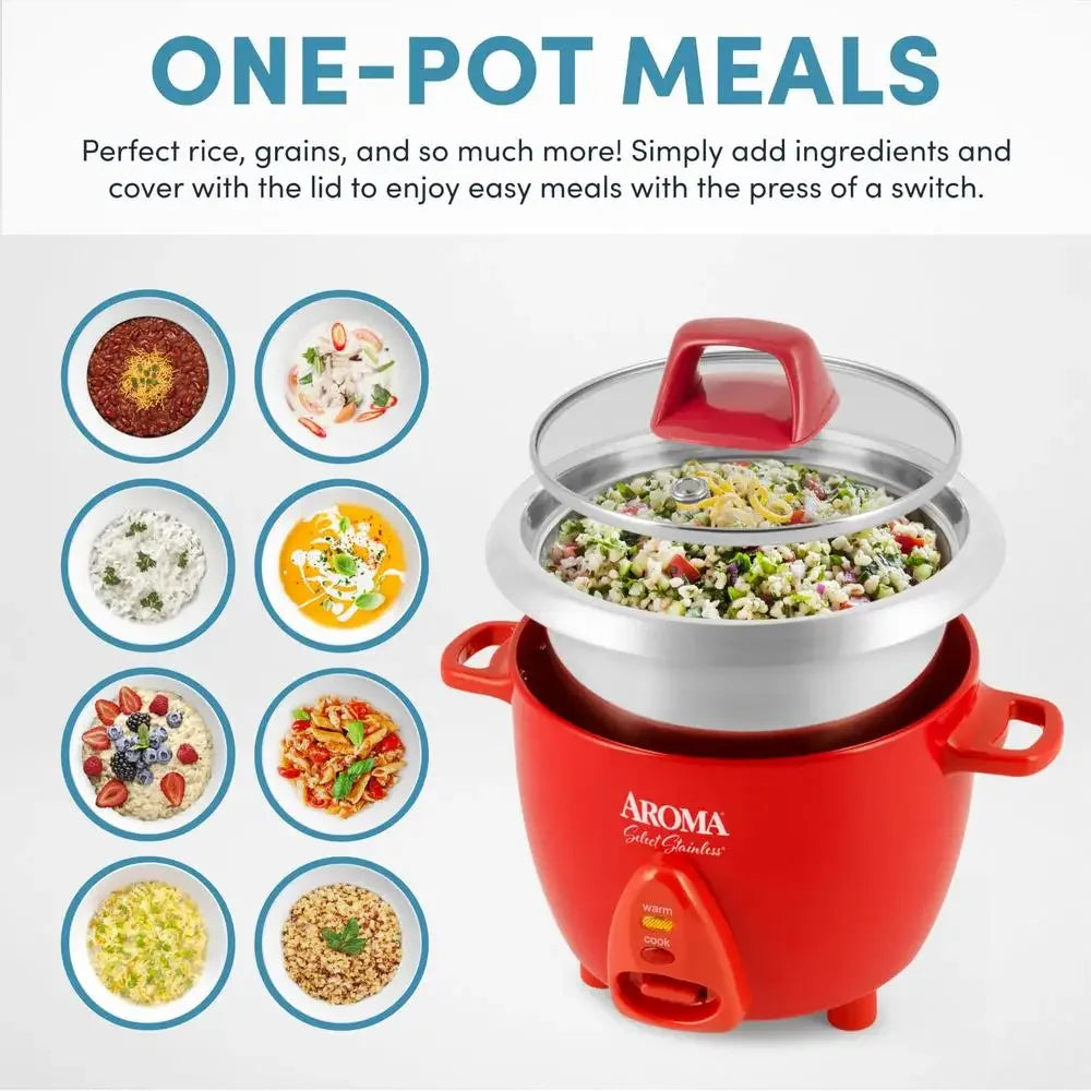 6 Cup Stainless Steel Automatic Rice Cooker