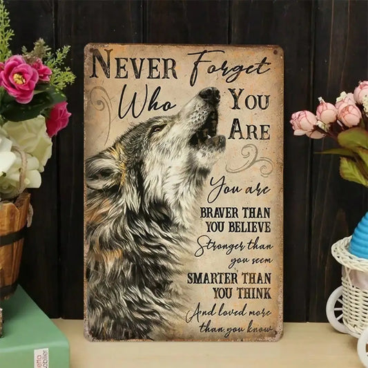 1PC Vintage Metal Sign