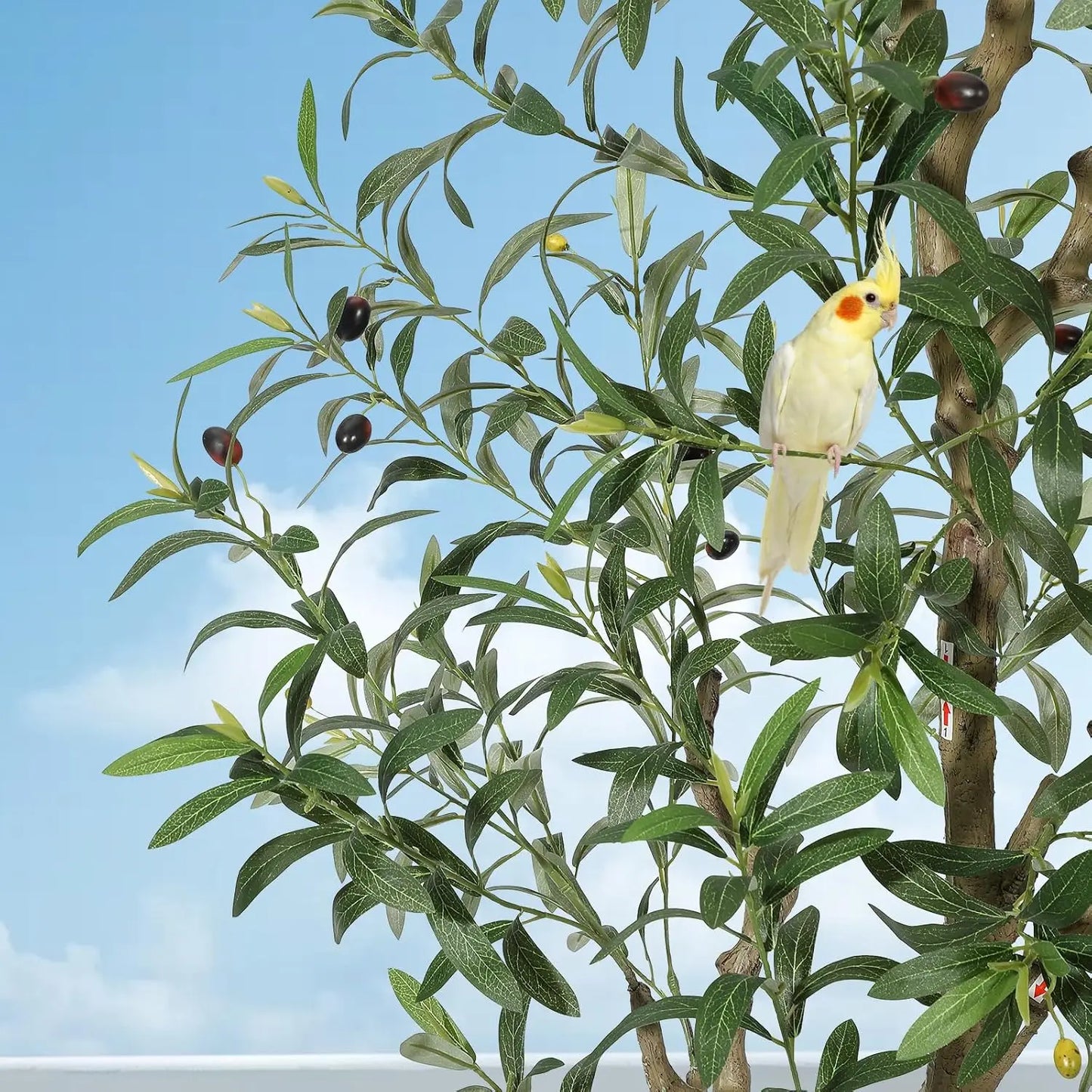 5/6/7ft Artificial Indoor Olive Silk Tree